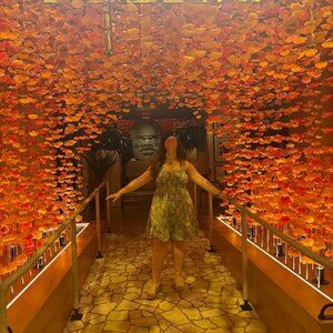 Meet your Posher, Posh